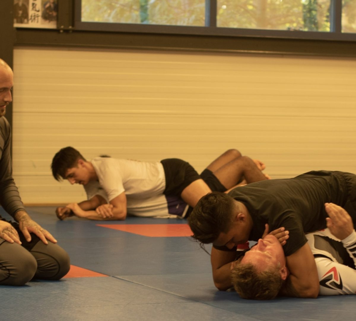 bjjnogi.jpg